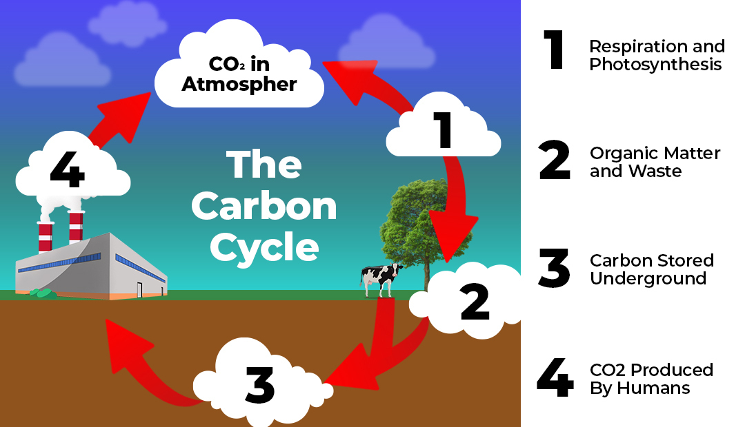 Carbon-Cycle-Chart