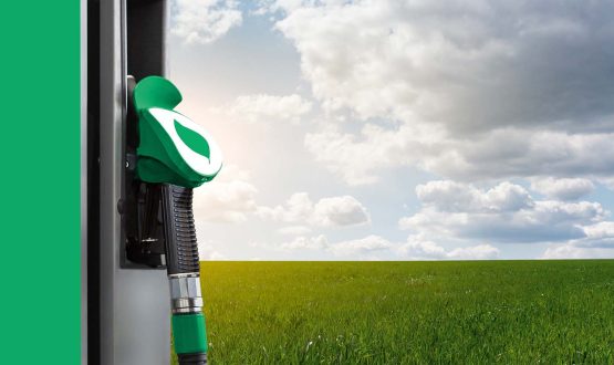 HVO-Renewable-Fuel